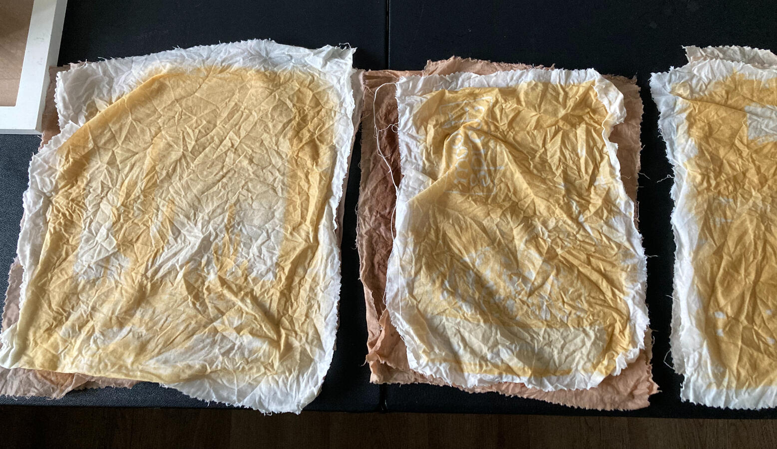 bleached cyanotype prints