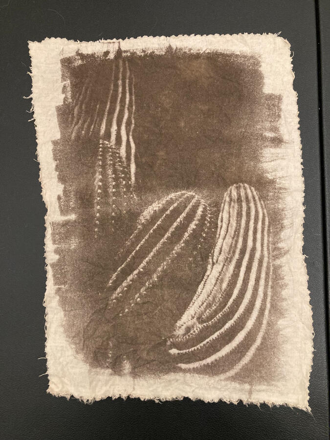 cyanotype toned with coffee