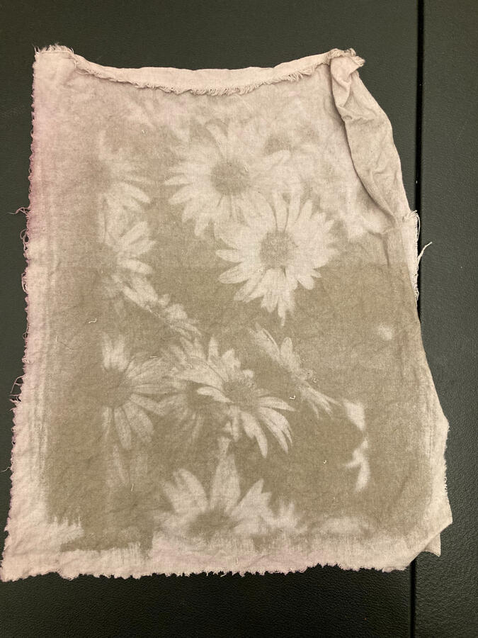 cyanotype toned with red wine