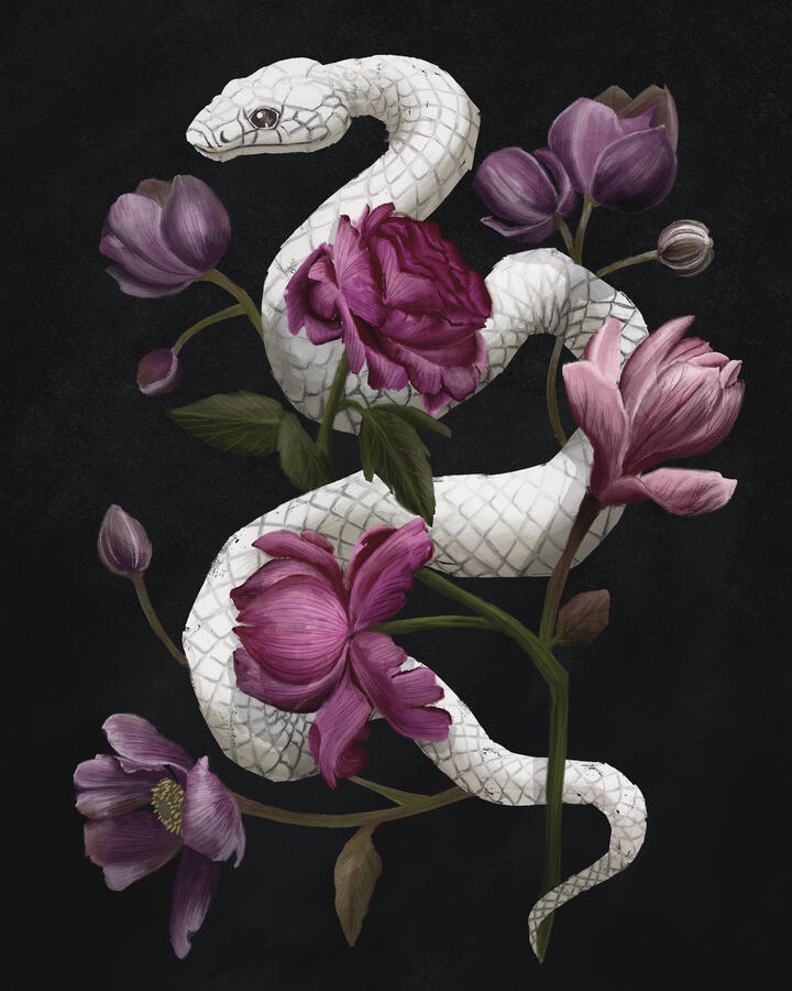 Snakes &amp; Flowers